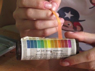 �������� �����������